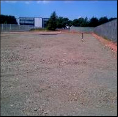 Picture1 (Small).png